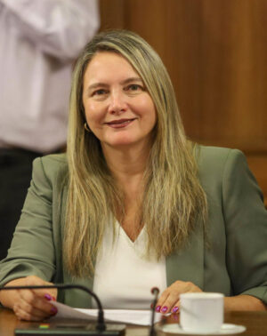 Diputado Catalina Del Real Mihovilovic